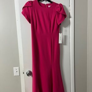 Fuschia Calvin Klein Dress NWT- See pics